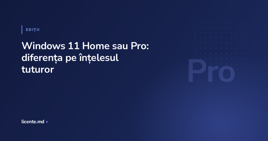 Comparație între edițiile Windows 11 Home și Pro pentru uz casnic, ghid licente.md